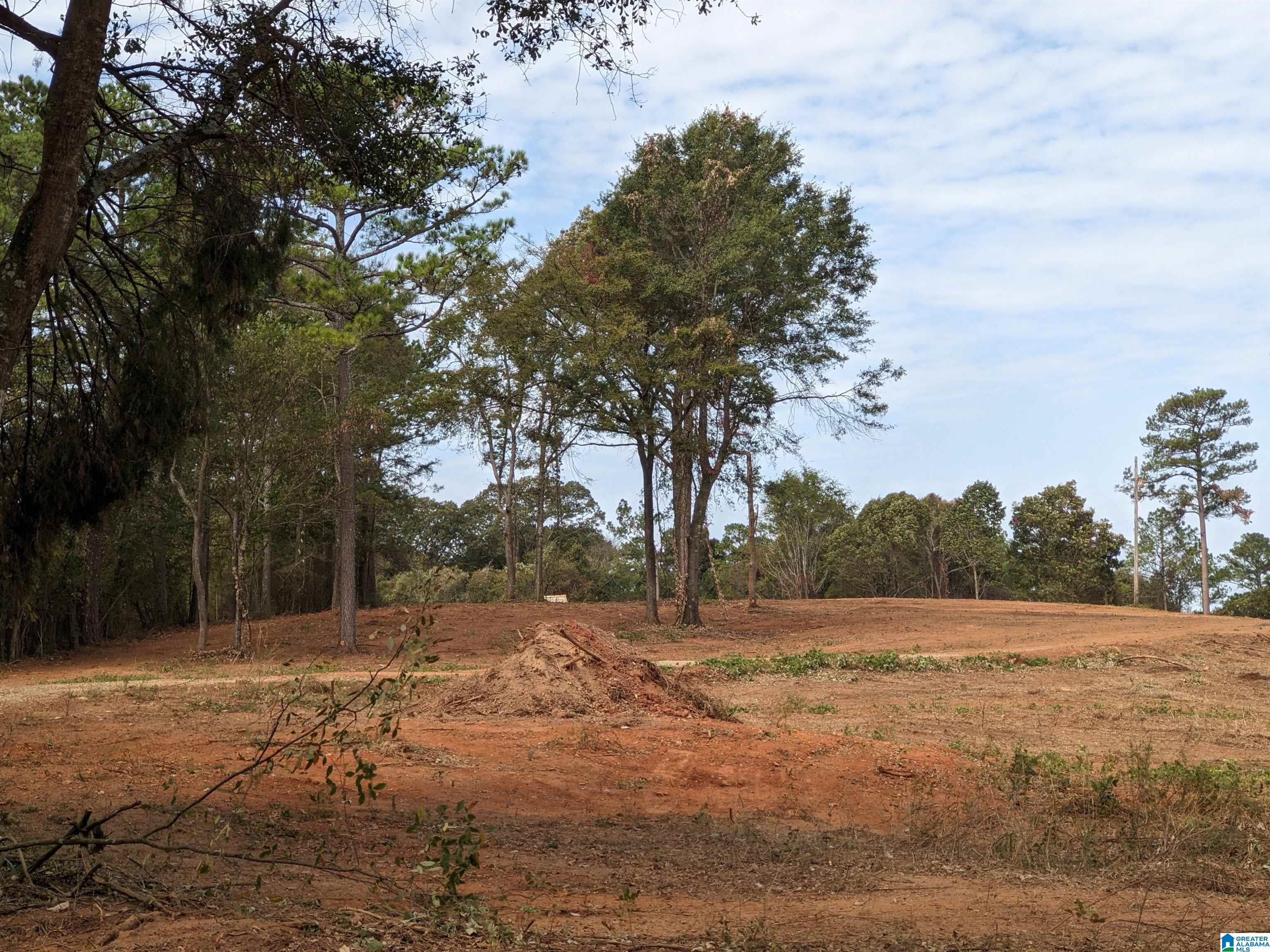 16091 JACKSON TRACE ROAD 0