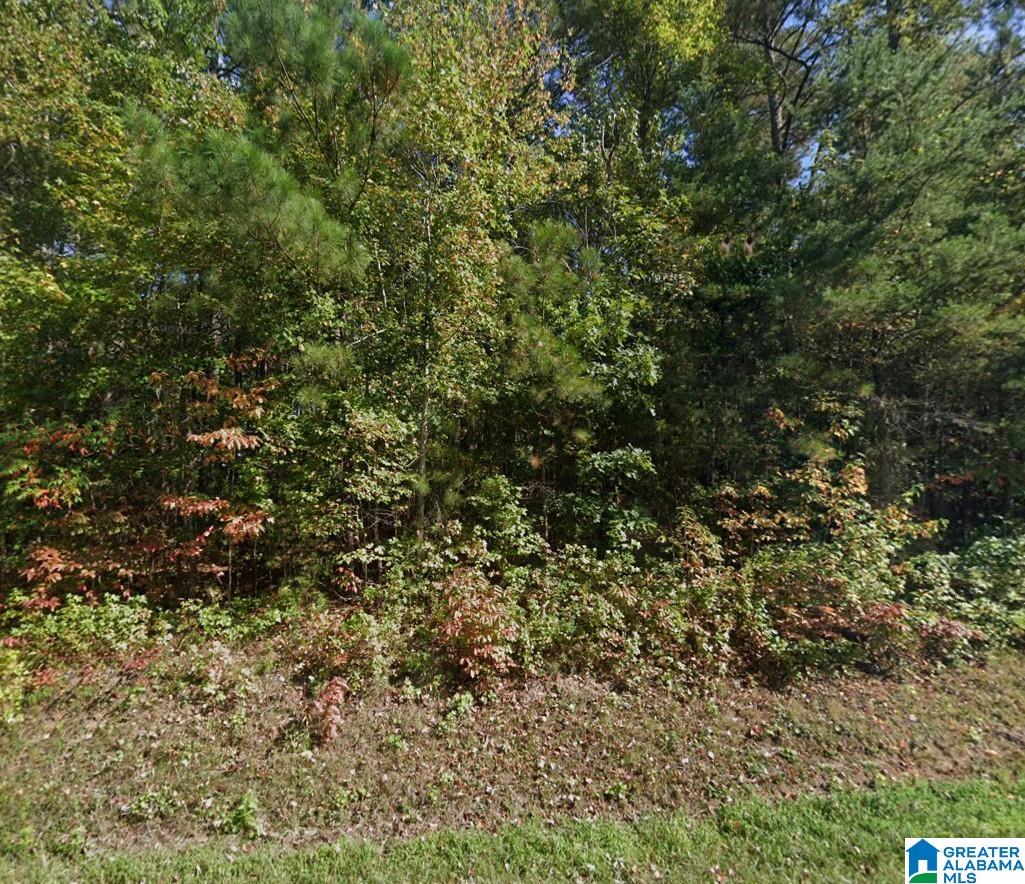 0 COUNTY ROAD 103 56