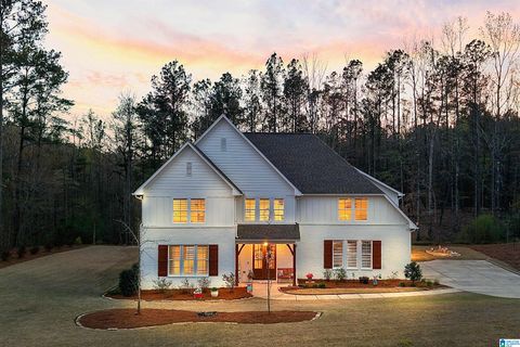 3378 RIVER BIRCH TRAIL CHELSEA AL 35043