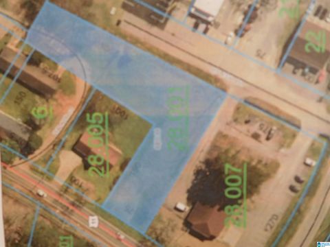 0000 US HIGHWAY 11 SPRINGVILLE AL 35146