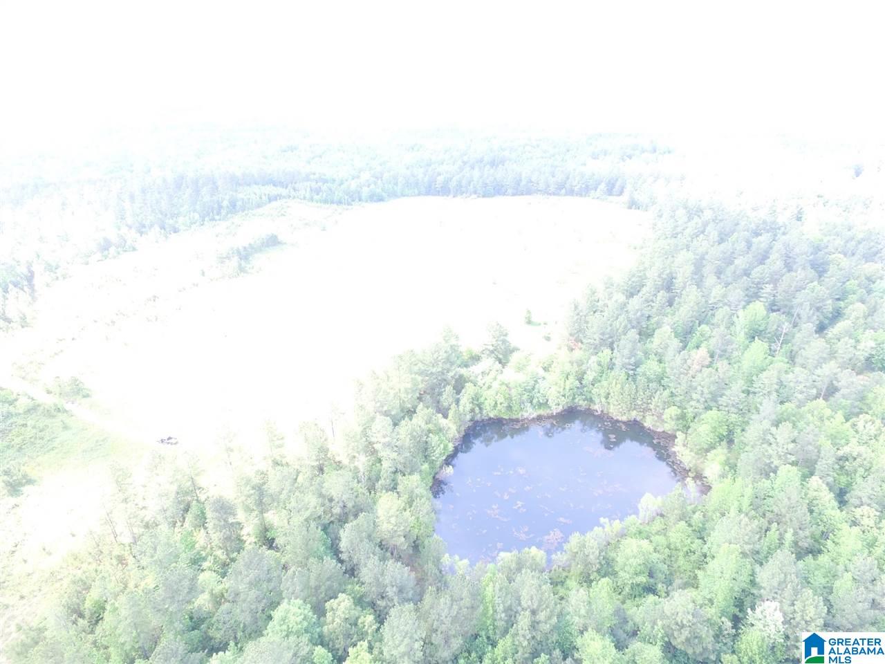 0 SANIE ROAD 878+/- Acres