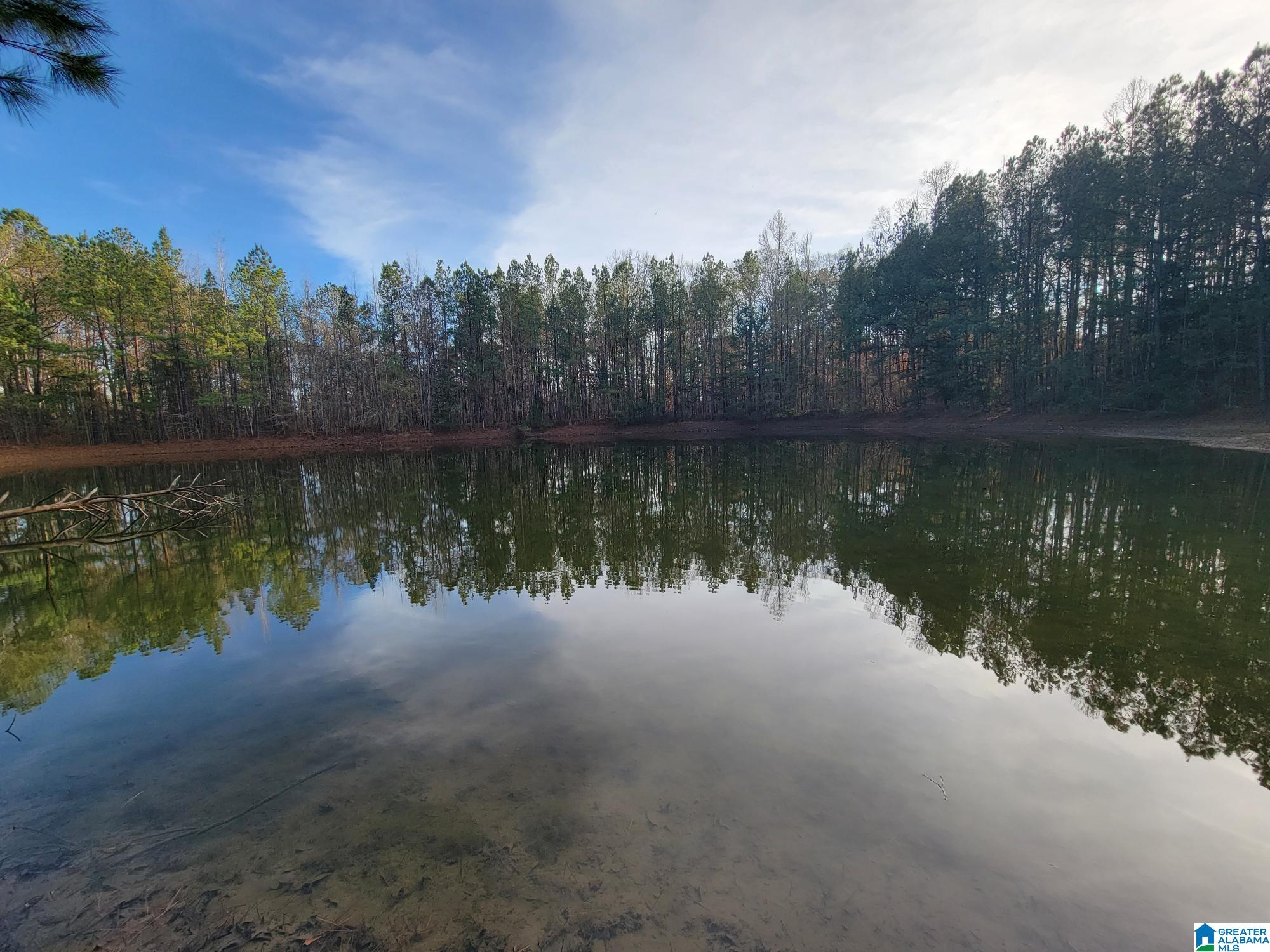 Photo 1 of 14 — 0 COUNTY ROAD 15 0, COUNTY, AL 36750