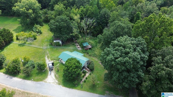 9063 BUSH AVE, LEEDS, AL 35094 - Image 39bd997bc5f1376a661e9a02c8fd84c2/4099806586