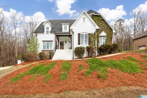 335 GRAY FOX ROAD SPRINGVILLE AL 35146