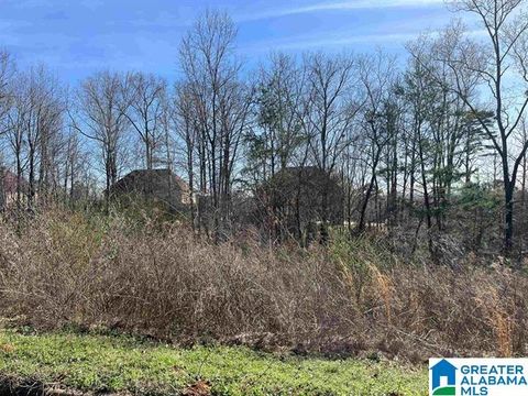 1 SUMMIT RIDGE WAY 76 ARGO AL 35120