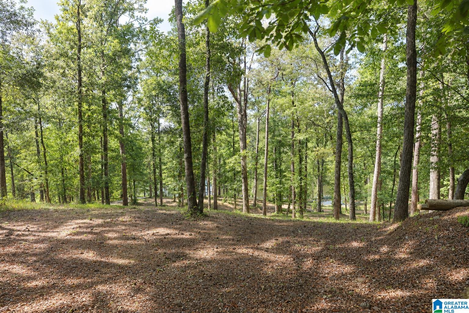 15765 HIGHWAY 145