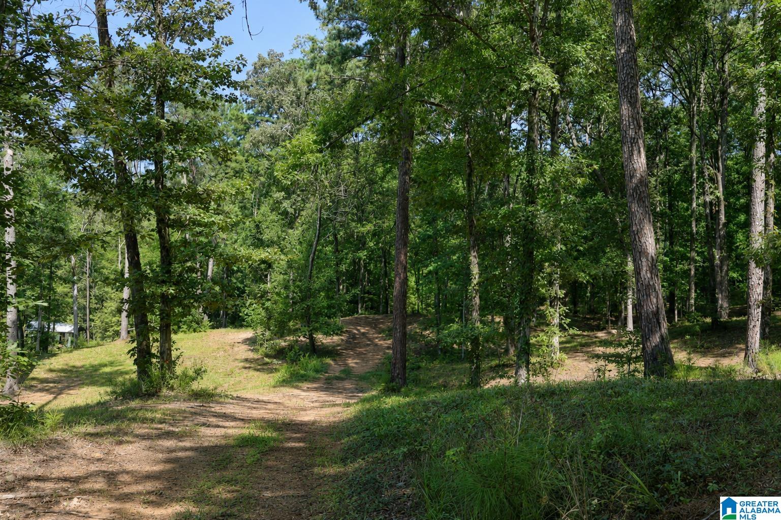 15765 HIGHWAY 145