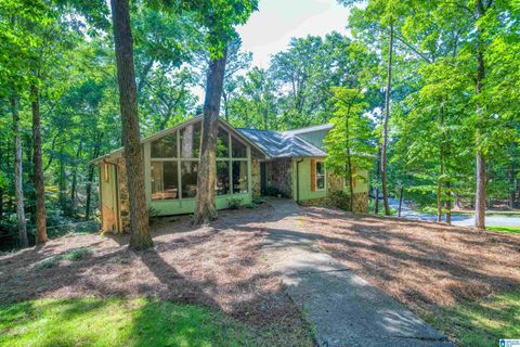 1928 INDIAN LAKE DRIVE BIRMINGHAM AL 35244