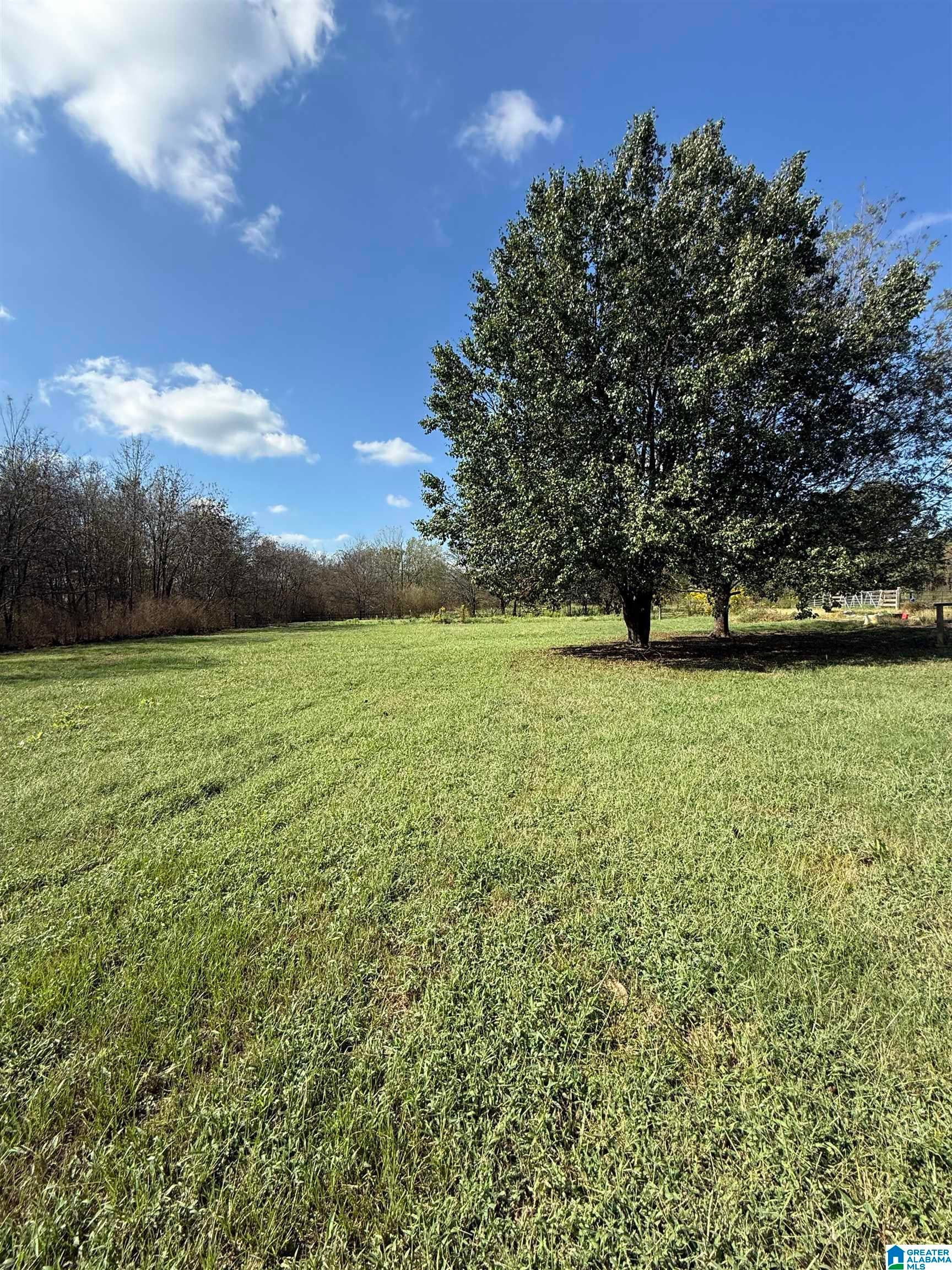 7823 KIMBRELL CUTOFF ROAD