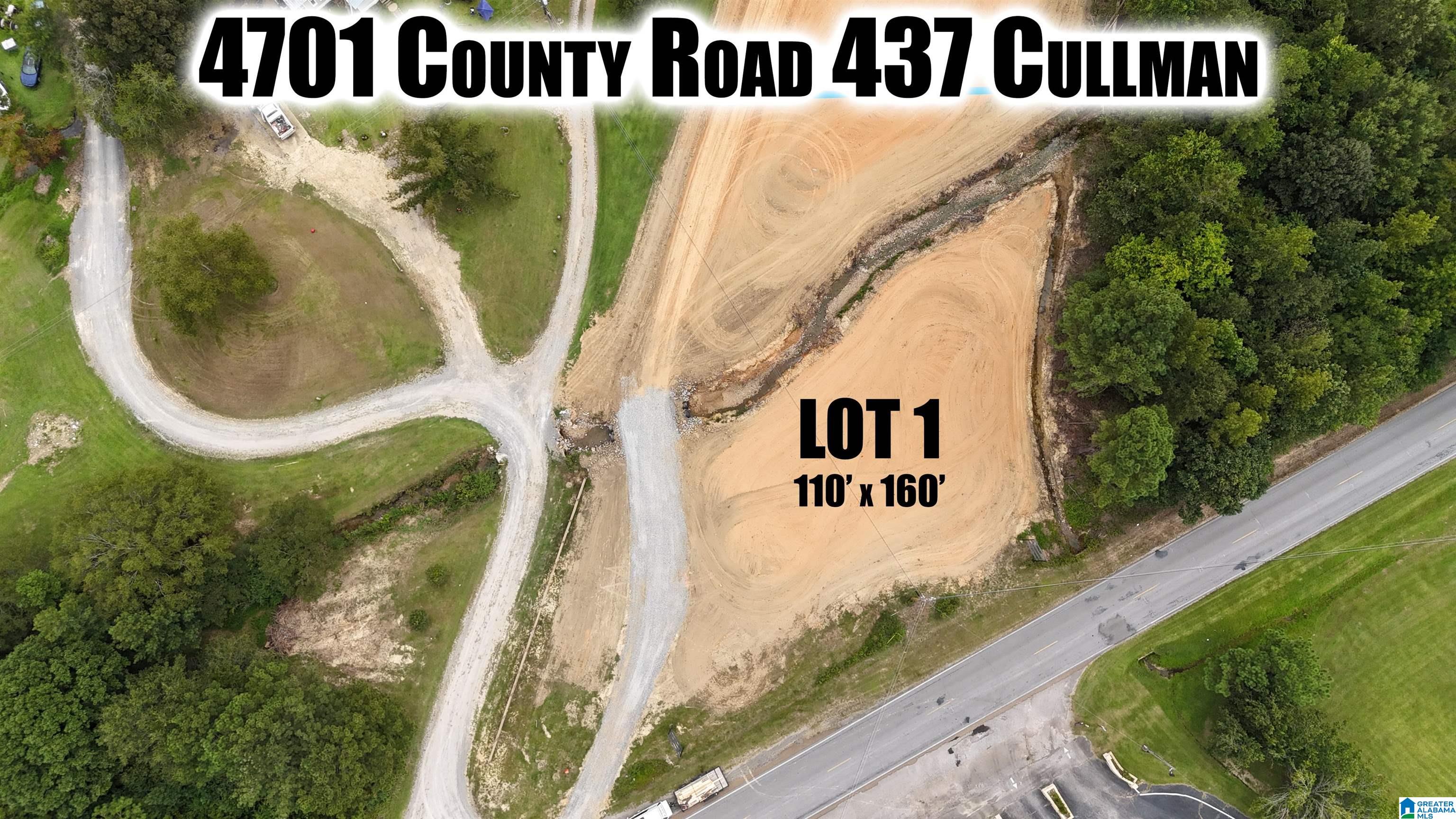 4701 COUNTY ROAD 437 Lot 1-4
