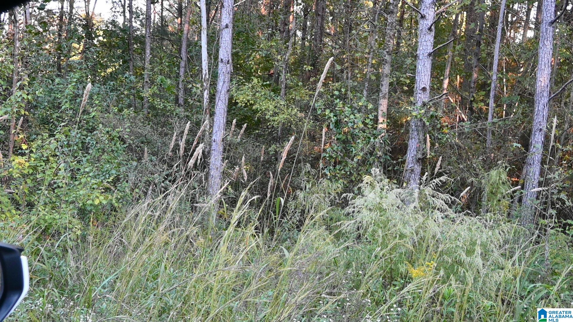 0 WILLOWBROOK COURT Lot 21