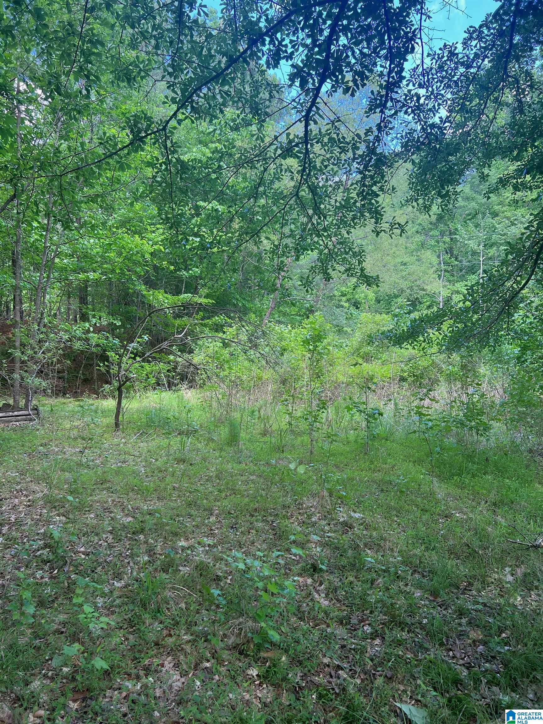 DEER DRIVE 64