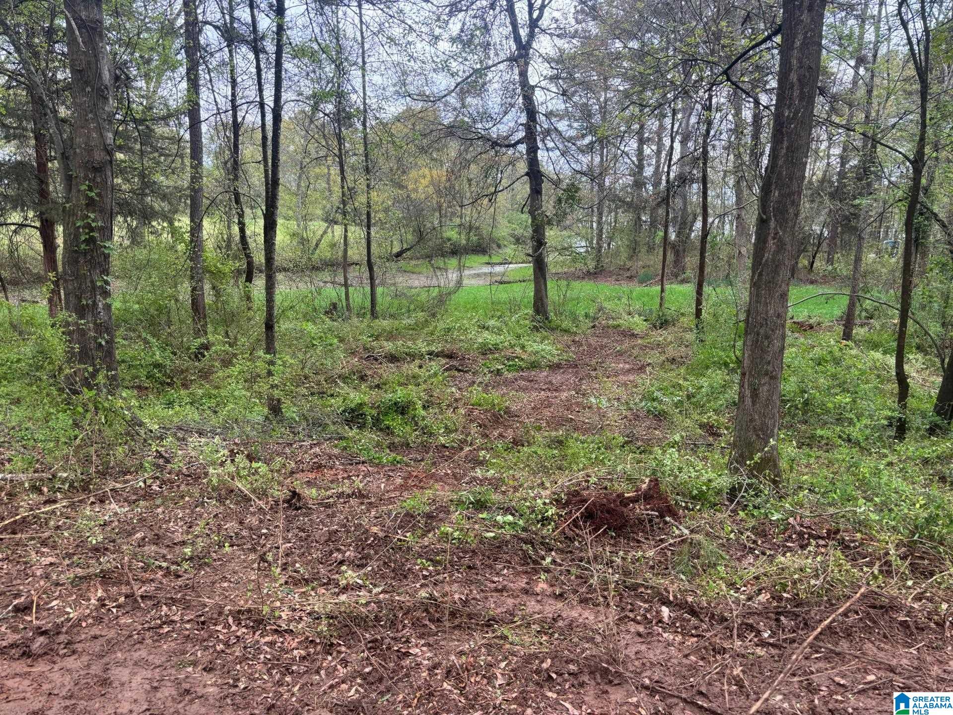 Photo 1 of 9 — 2318 ANNESLEY DRIVE 009, PELL CITY, AL 35128