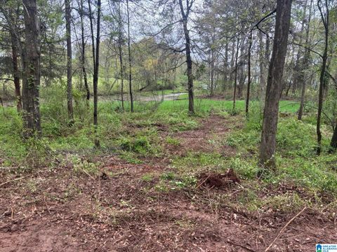 2318 ANNESLEY DRIVE 009 PELL CITY AL 35128