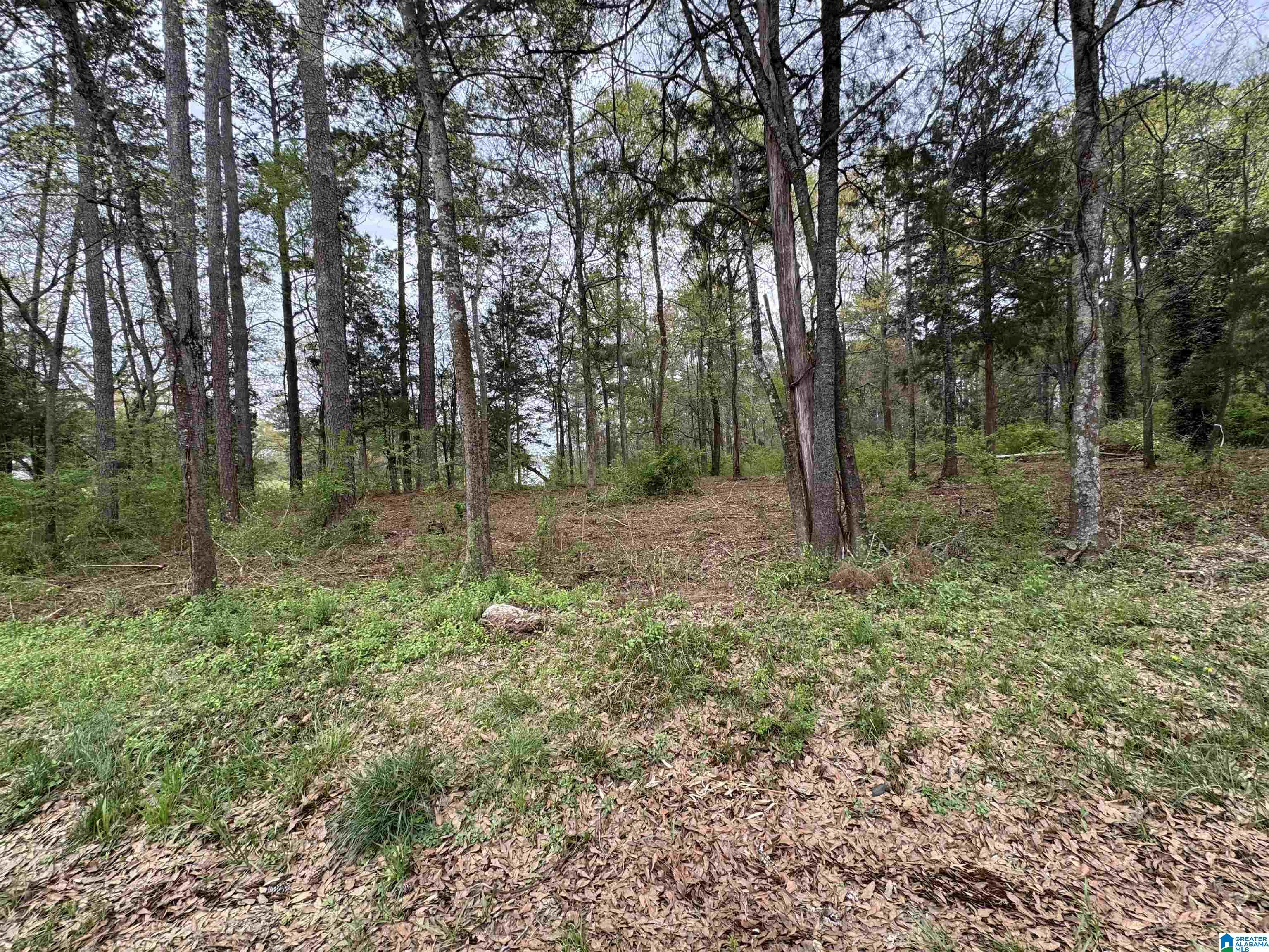 2318 ANNESLEY DRIVE 009