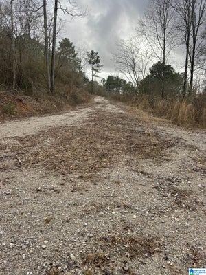 1363 OLD PORT DR # 4, MULGA, AL 35118 - Image 3bf84dfa471f2aa8efbe176e91189e06/3394808039