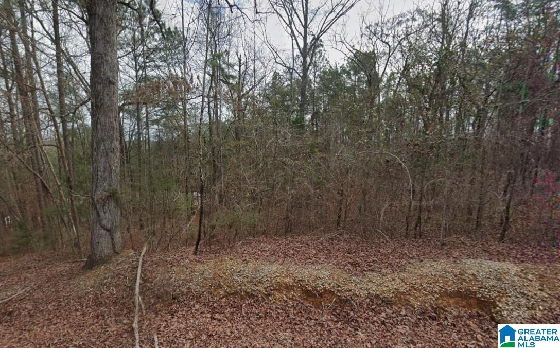 11306 JOE NAMATH ROAD 1