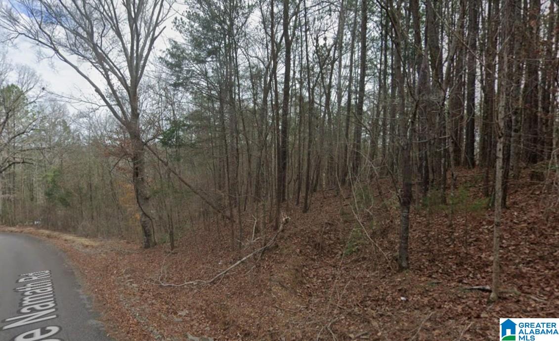 11306 JOE NAMATH ROAD 1