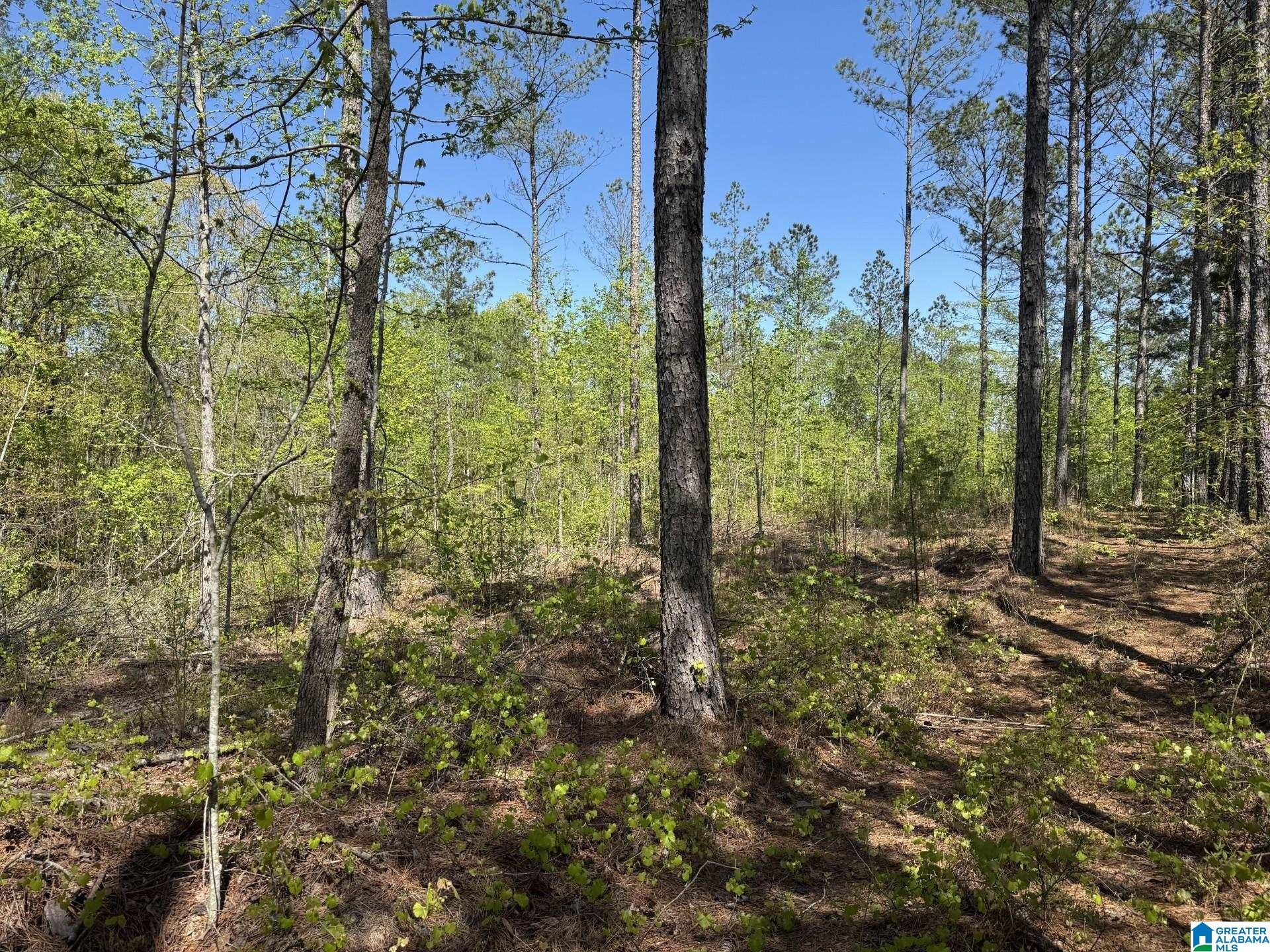 Tract 2 COUNTY ROAD 268 2