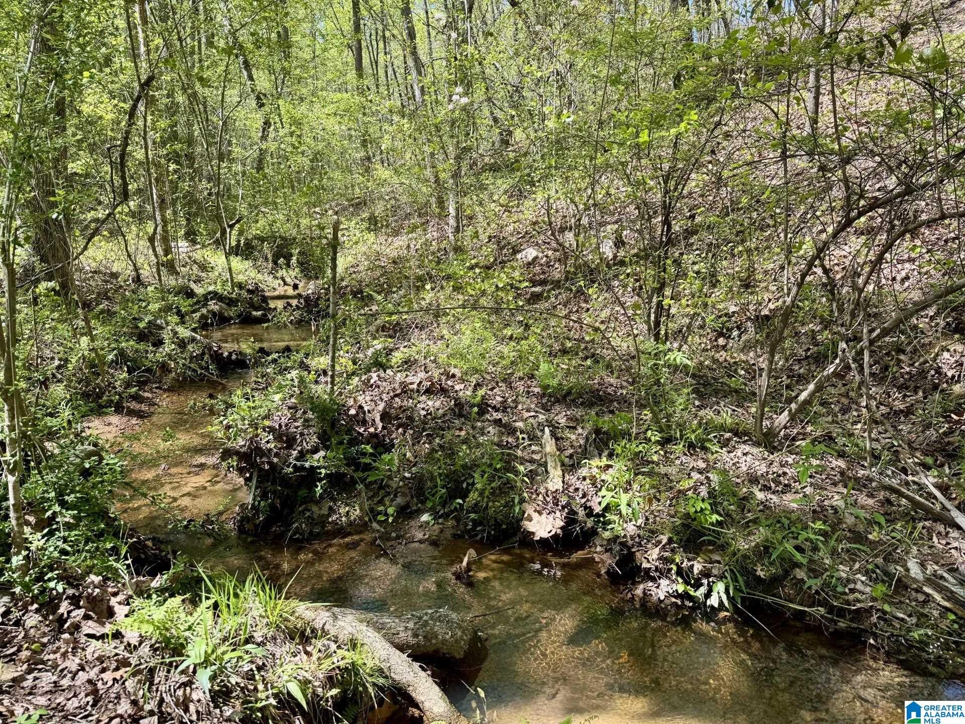 Tract 2 COUNTY ROAD 268 2