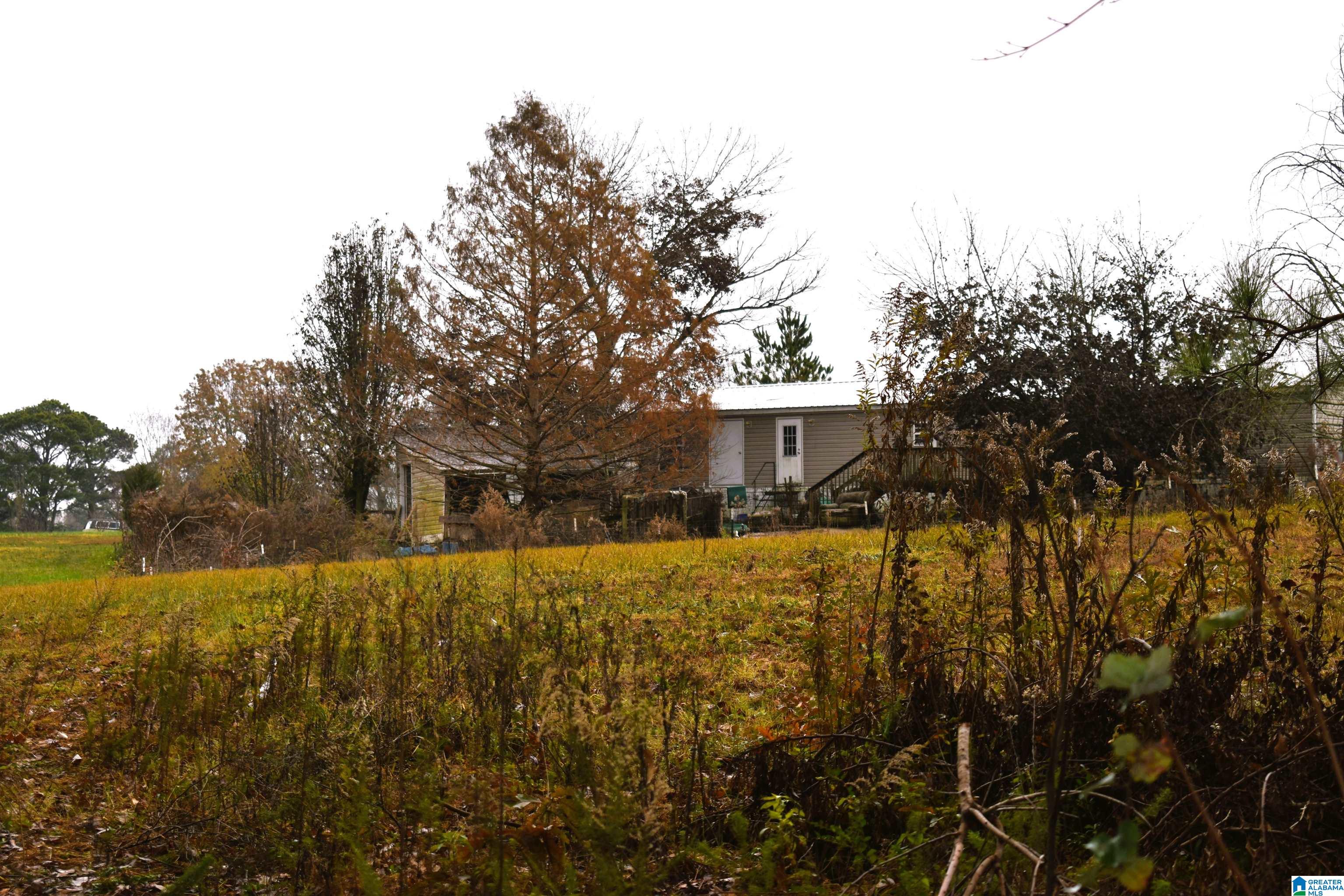 701 CEMETARY ROAD
