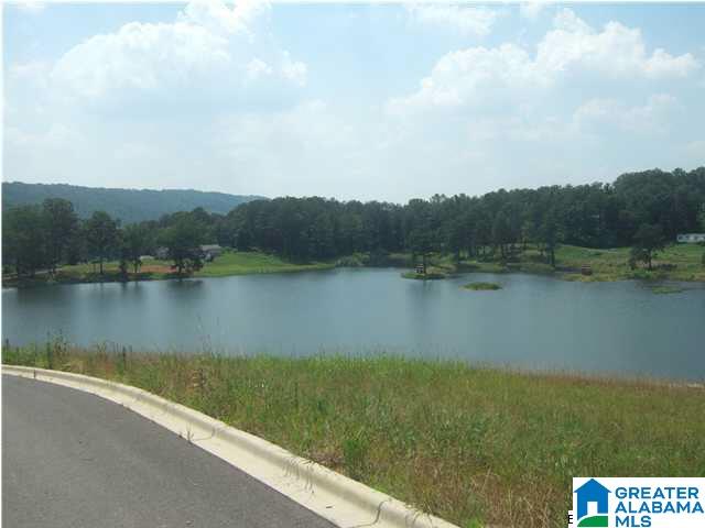 325 GRAY FOX ROAD 61