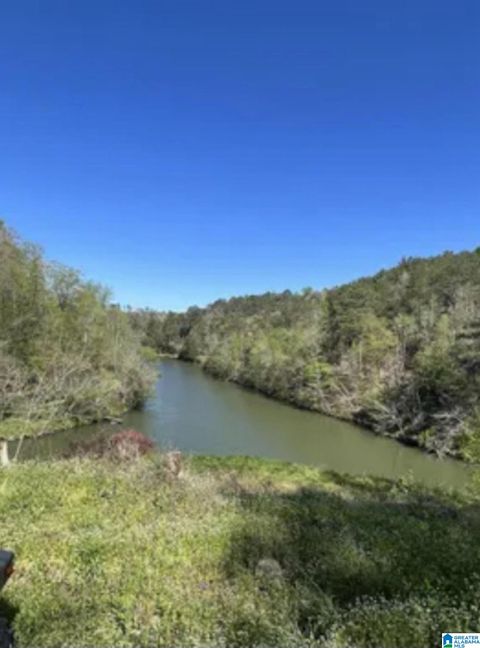 248 RIVERVIEW ROAD 18.6 ADGER AL 35006