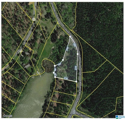 38 PAINT CREEK DR, SYLACAUGA, AL 35151 - Image 3e6bbca893ba8d7fd6cbef8e634fdb21/806946496