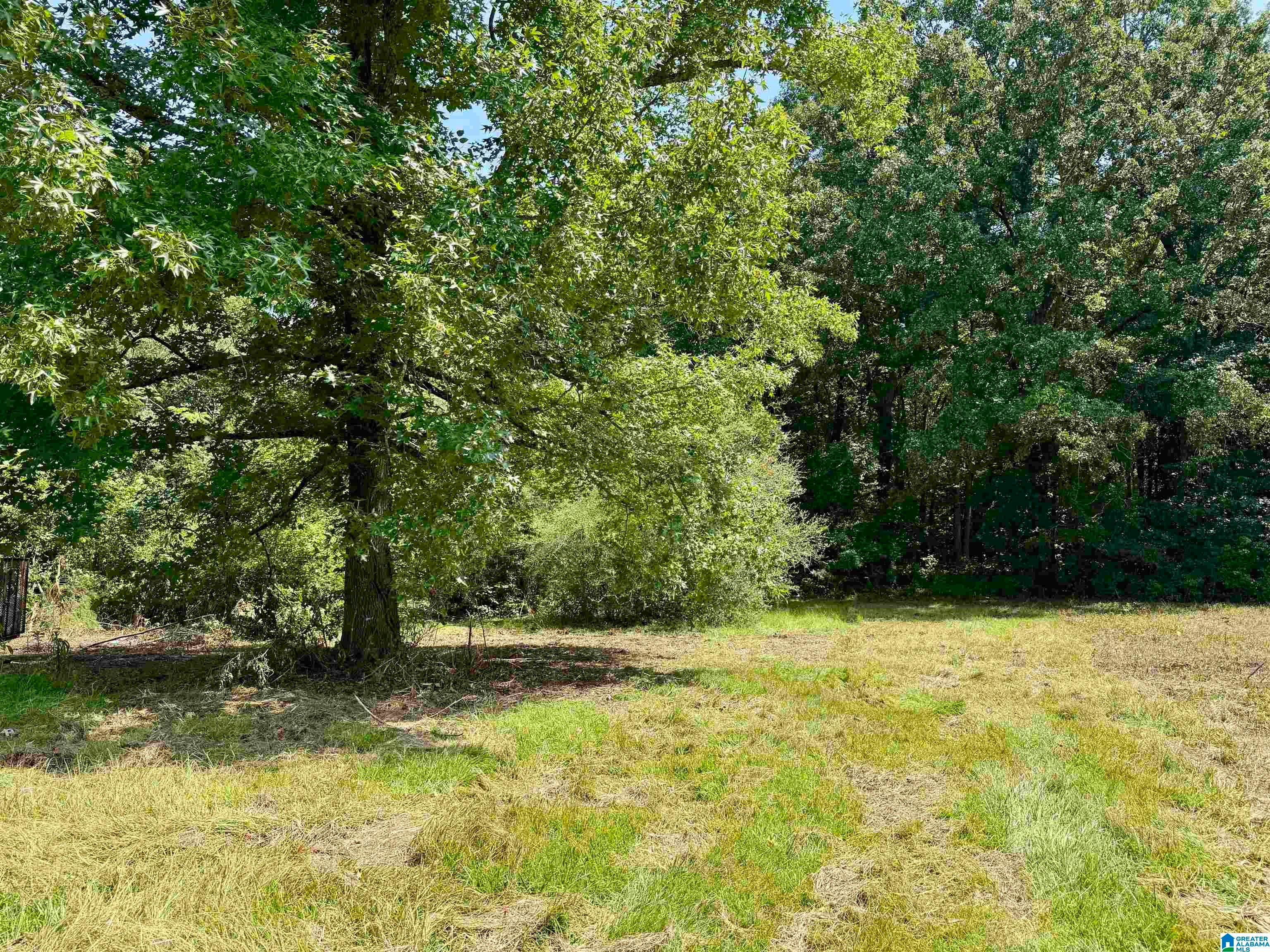 775 COUNTY ROAD 64