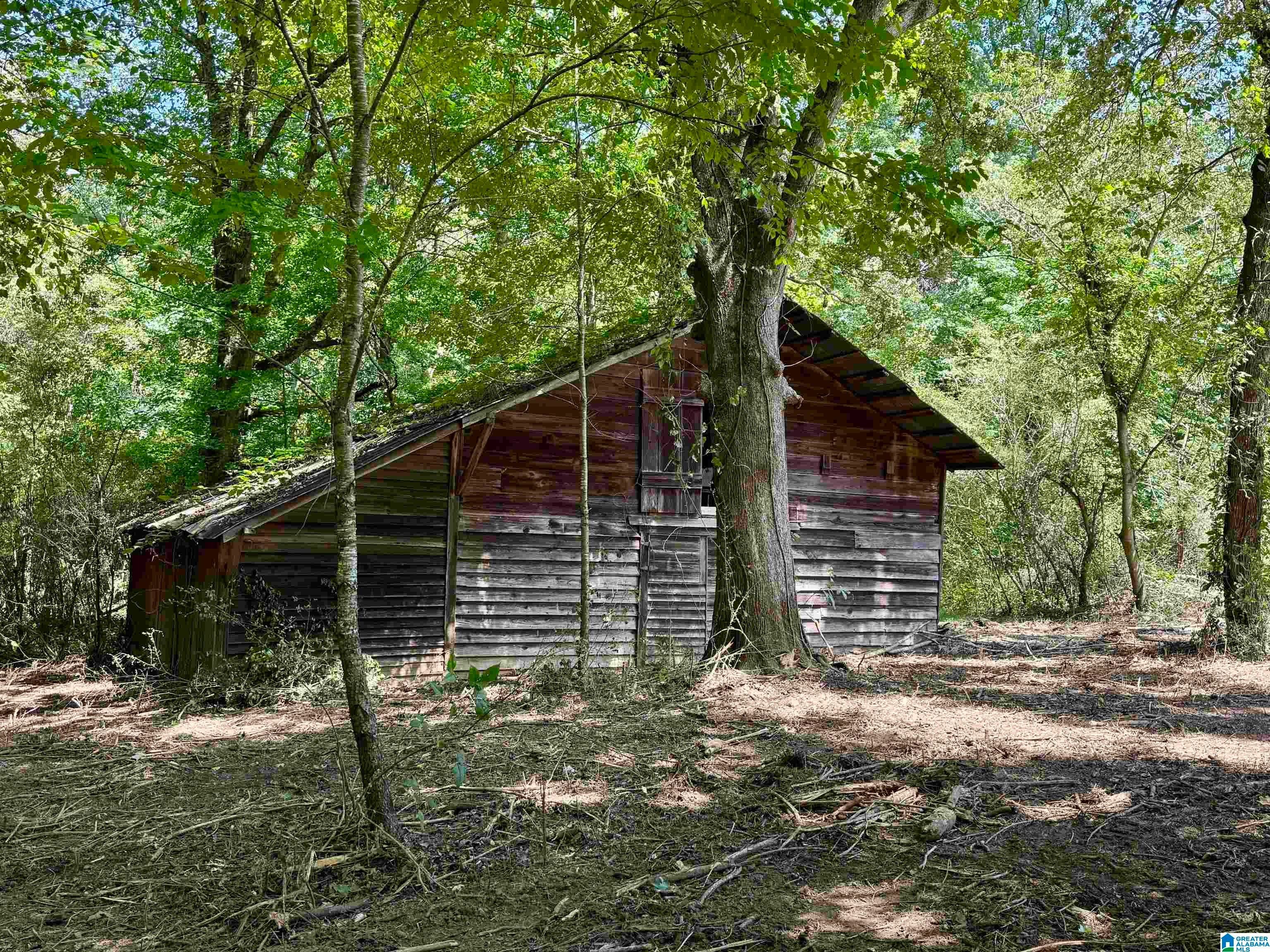 775 COUNTY ROAD 64