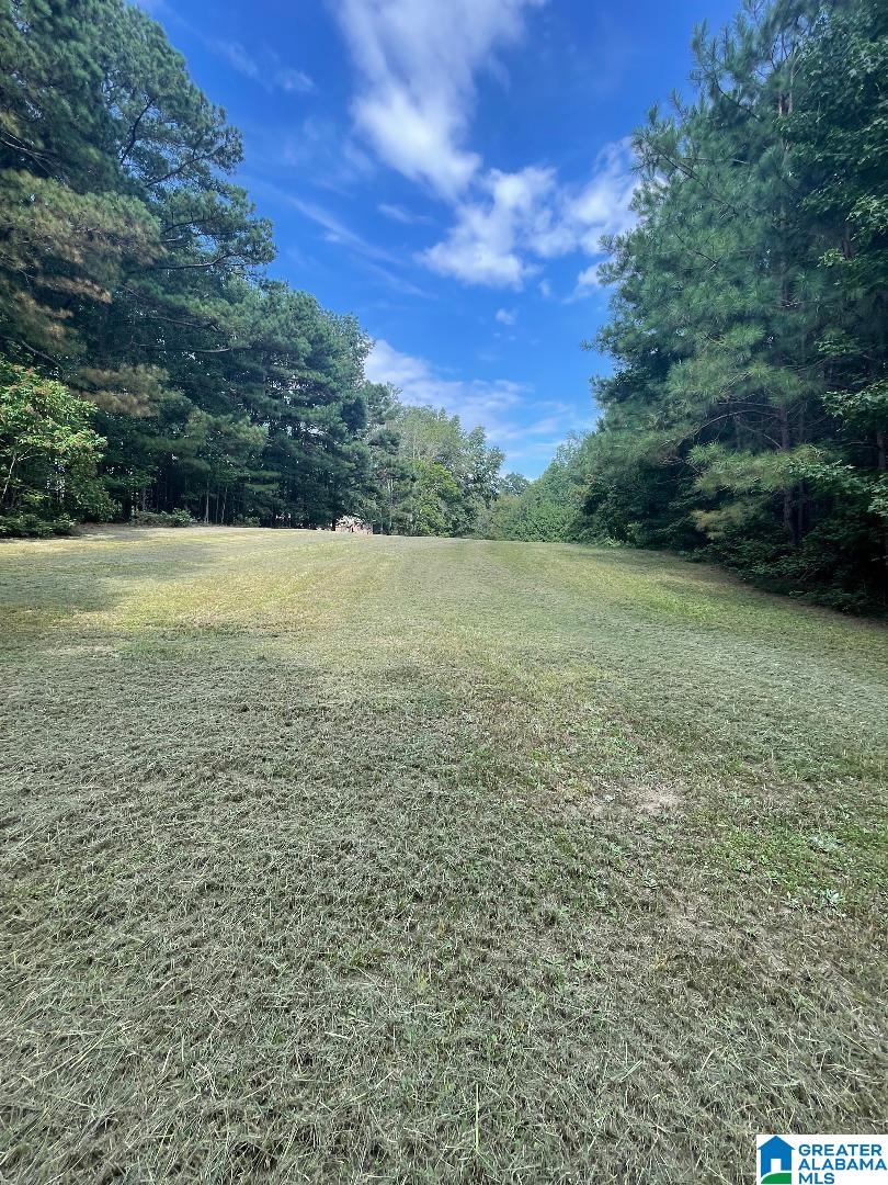 3324 COON CREEK ROAD