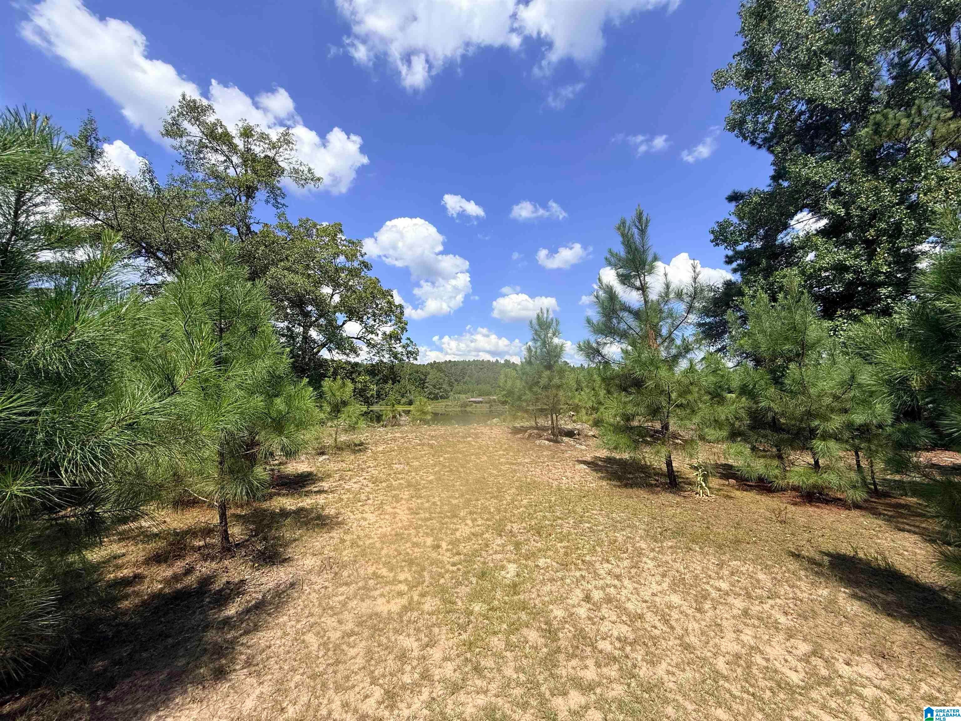 0000 ROCKYVIEW ROAD 0