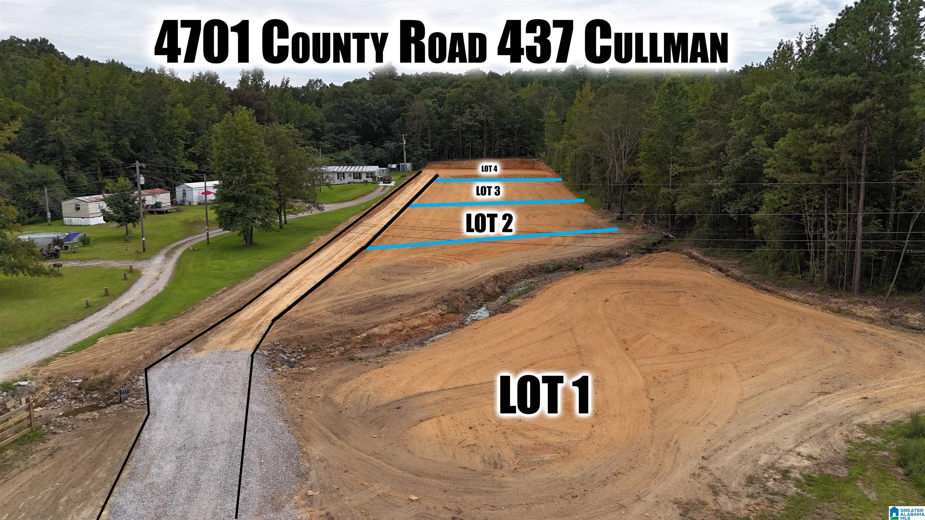 4701 COUNTY ROAD 437 Lot 3