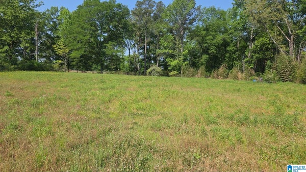 10997 VANCE BLOCTON RD, VANCE, AL 35490 - Image 3f5683a6f117d652e98e7d937e9e975b/38410926