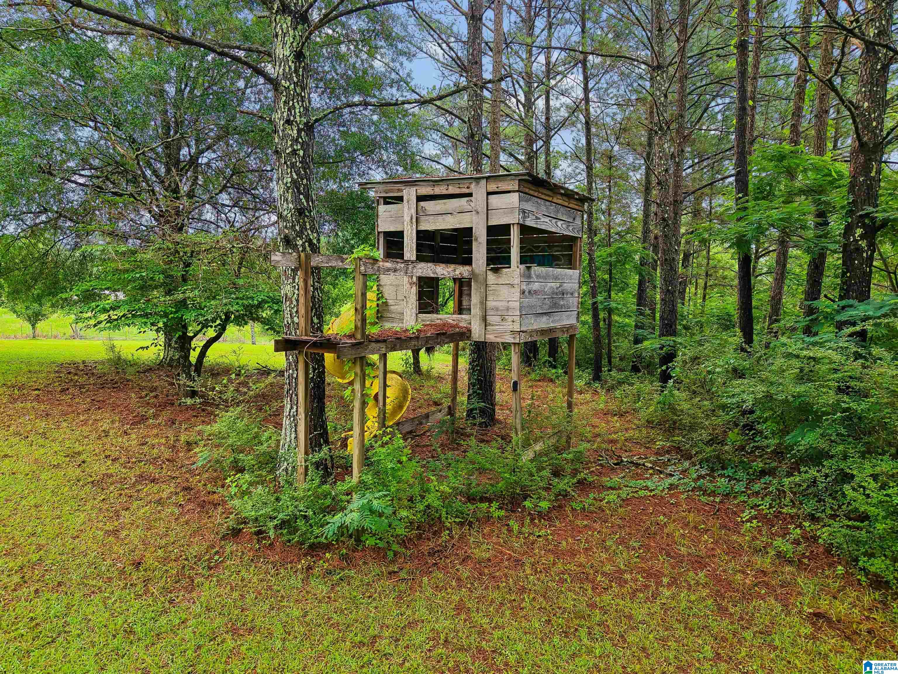 2919 OLD PINEYWOODS ROAD - Photo 4