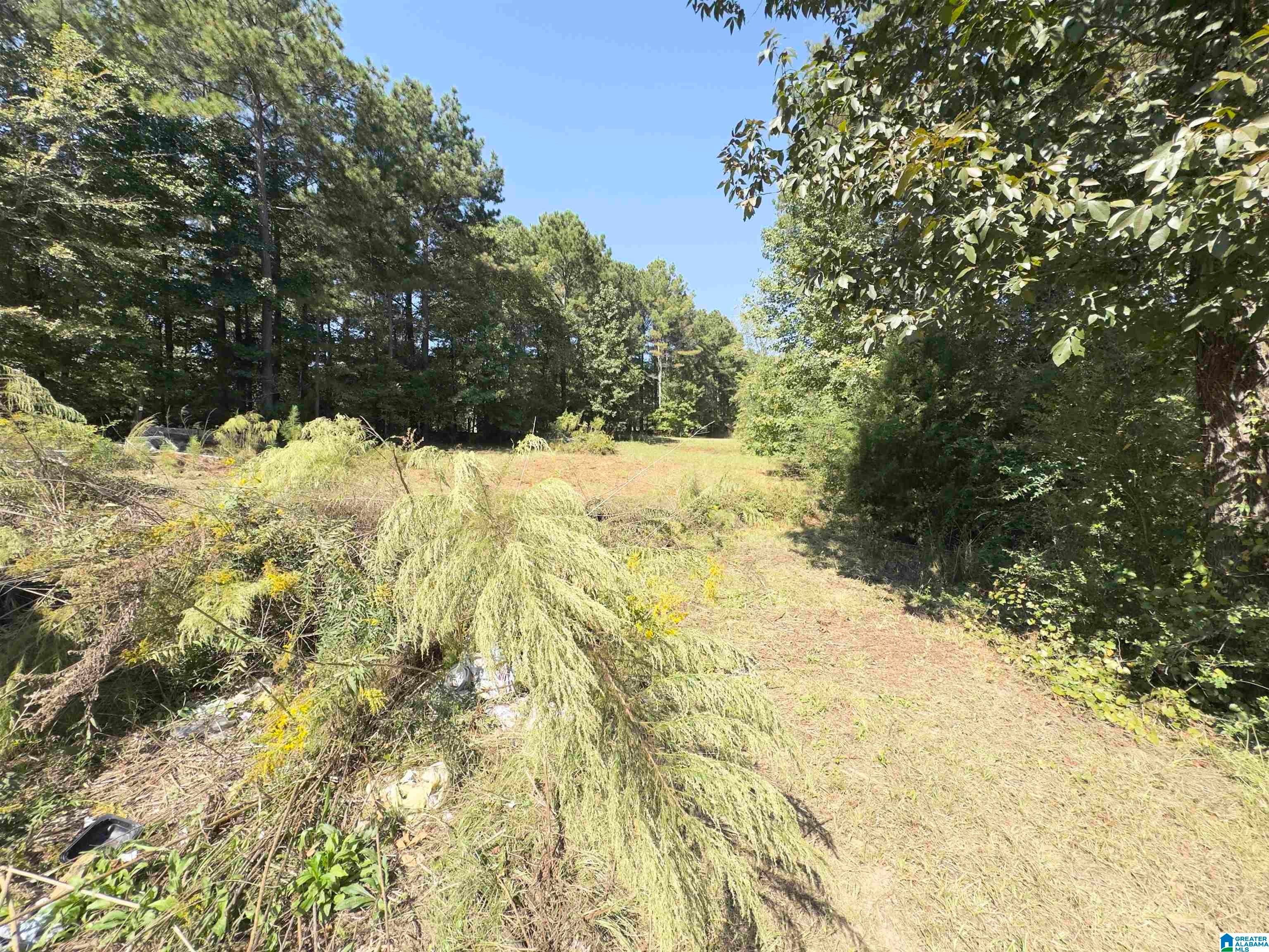 2137 CLEVET SPRINGS ROAD