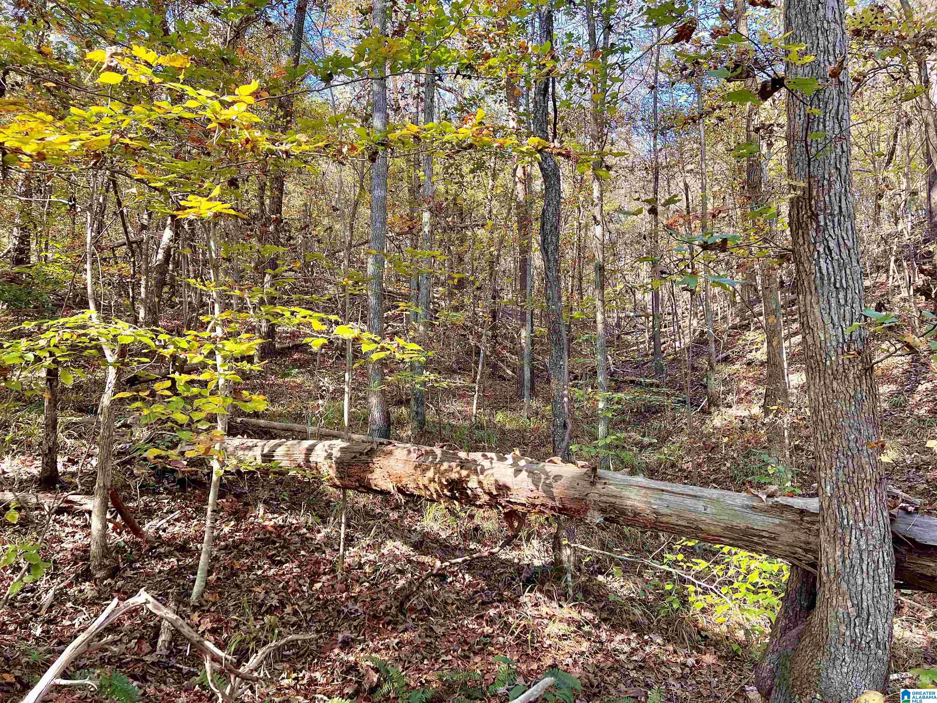 00000 NORTH RIVER CIRCLE 11