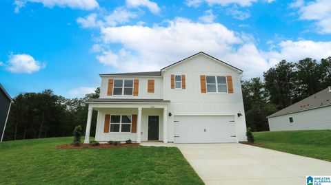 685 FISH CAMP ROAD CHELSEA AL 35043