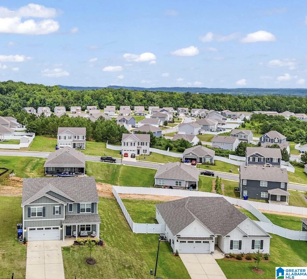 3001 SPECKLEBELLY WAY