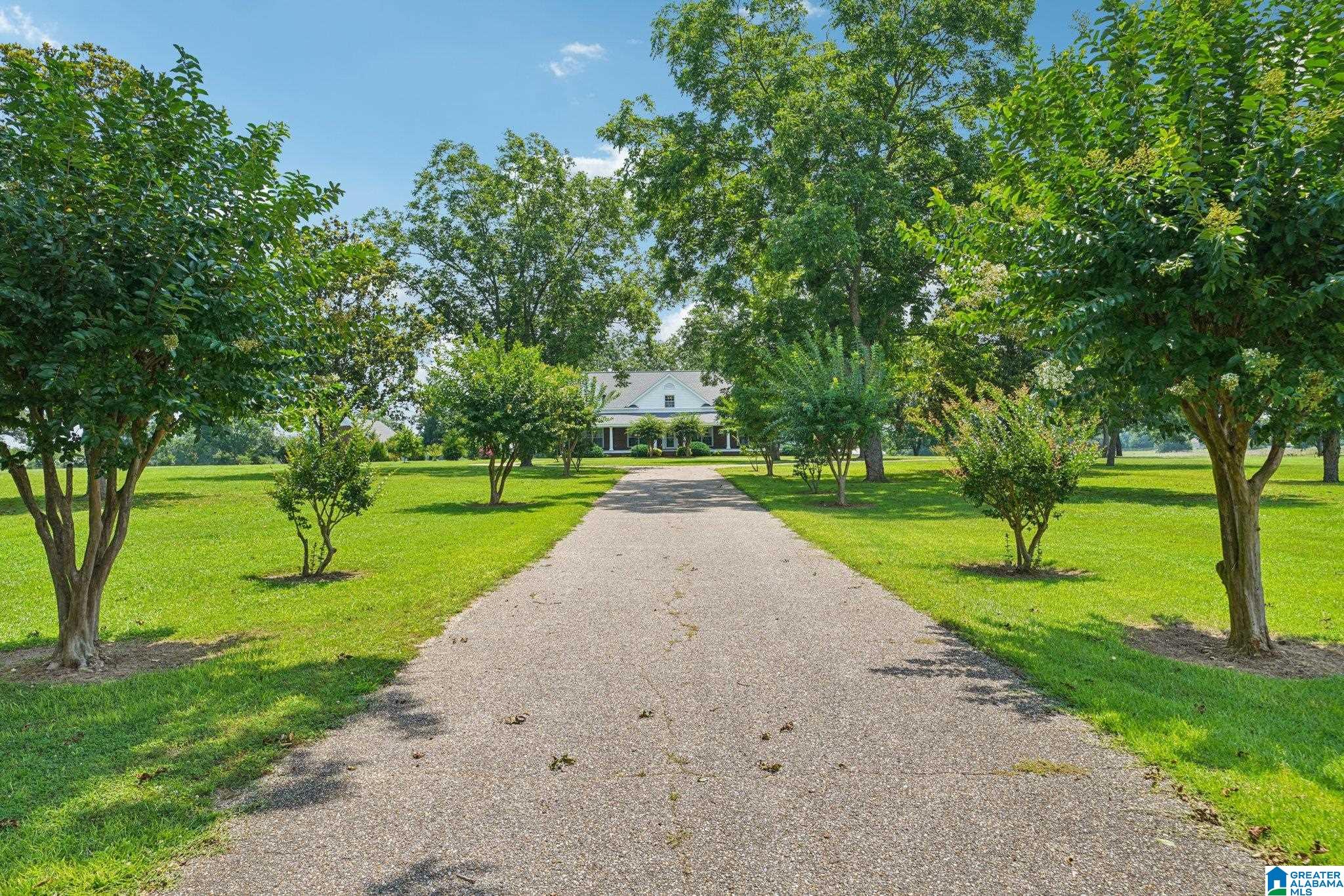 13650 COUNTY ROAD 29