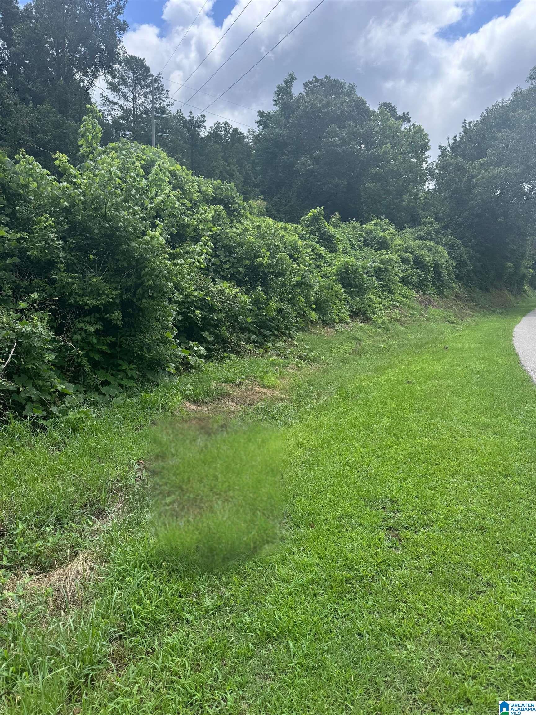 Photo 1 of 6 — 777 YARBROUGH ROAD 0, FULTONDALE, AL 35217