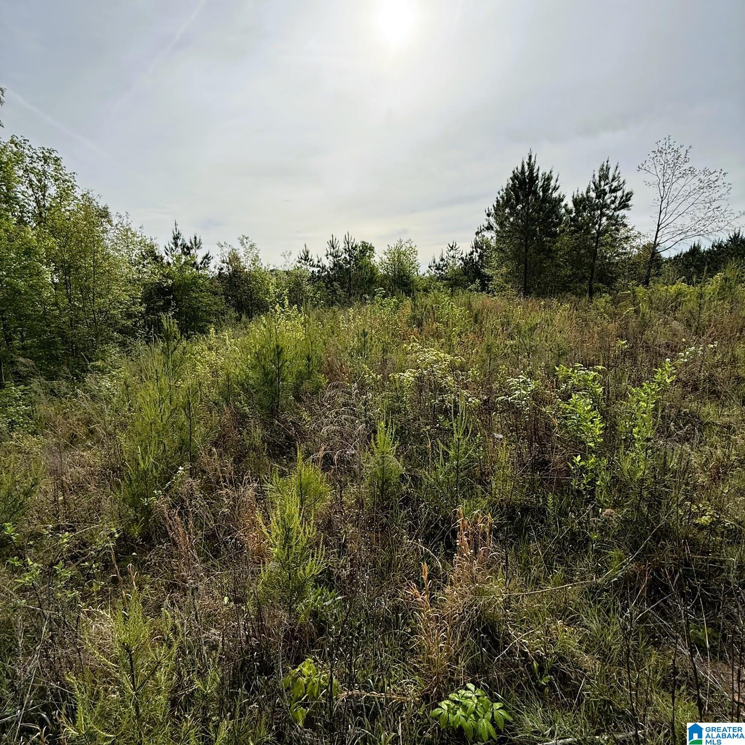 Photo 1 of 5 — 1154 KNOPF DRIVE 1, WARRIOR, AL 35180