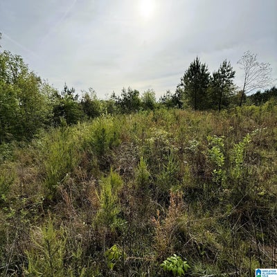 1154 KNOPF DR, WARRIOR, AL 35180 - Image 41500a0ef85597c8fc9e64ff9fda959f/1827287891