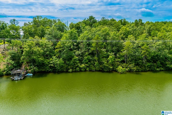 ADDRESS PRIVATE, WEDOWEE, AL 36278 - Image 415c4489a415de2e596333714191dfbd/1647926841