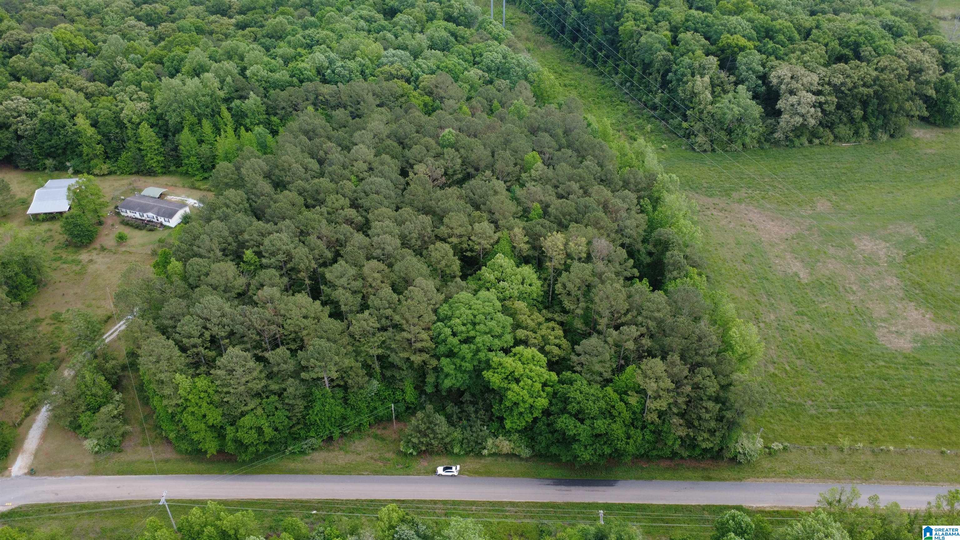 Photo 1 of 6 — UNKN HIGHLAND ROAD 9.1 acres, LINEVILLE, AL 36266