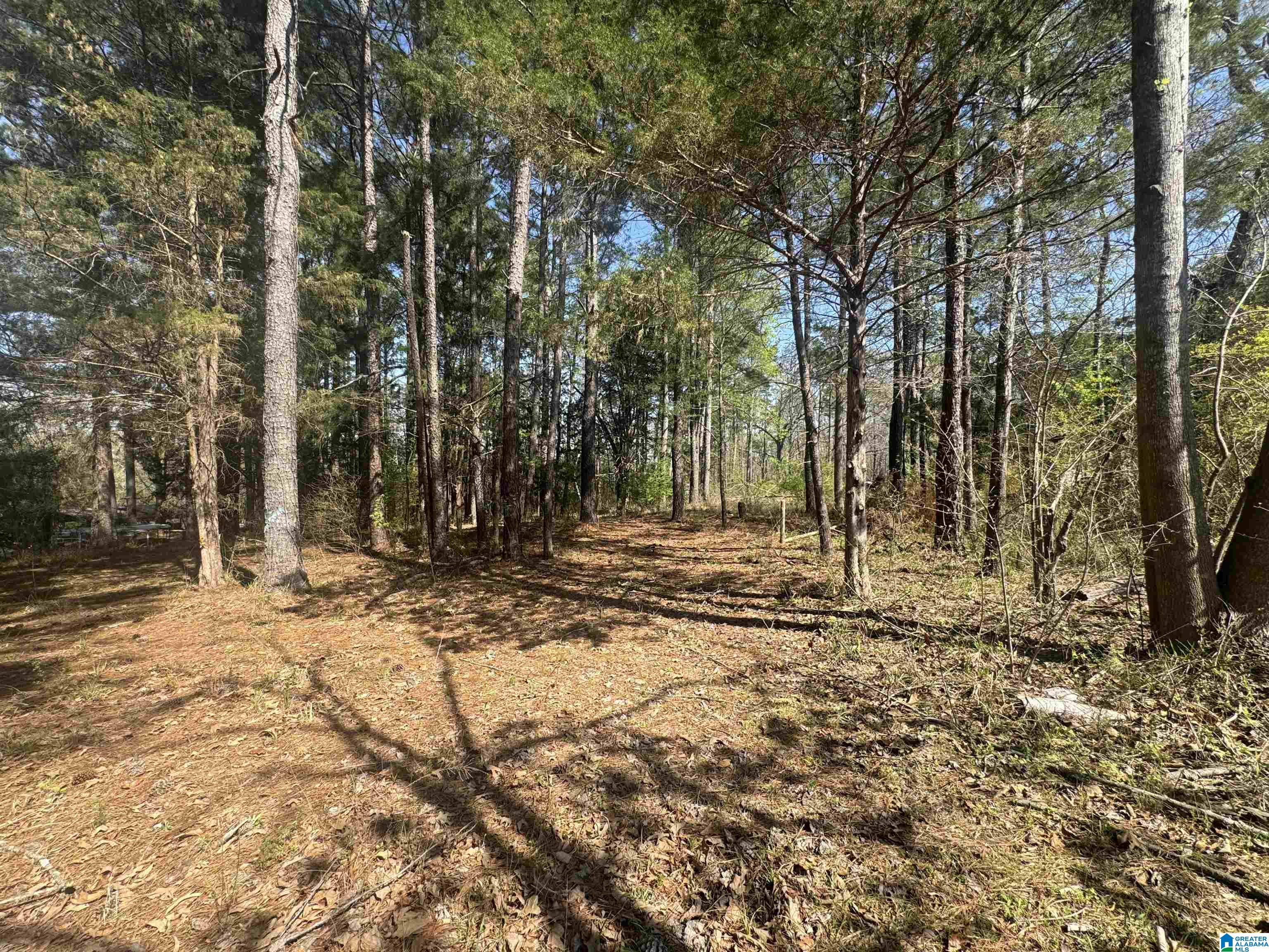 1265 TIM KING ROAD 0