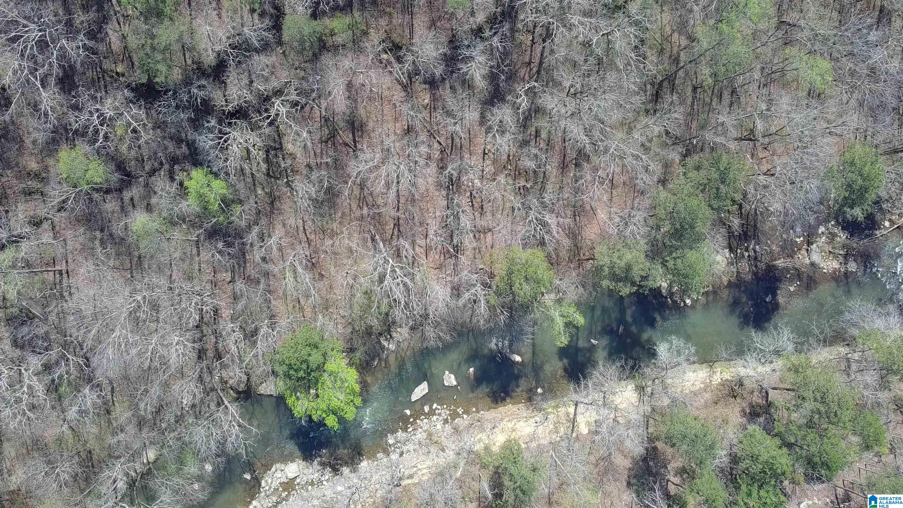 1265 TIM KING ROAD 0