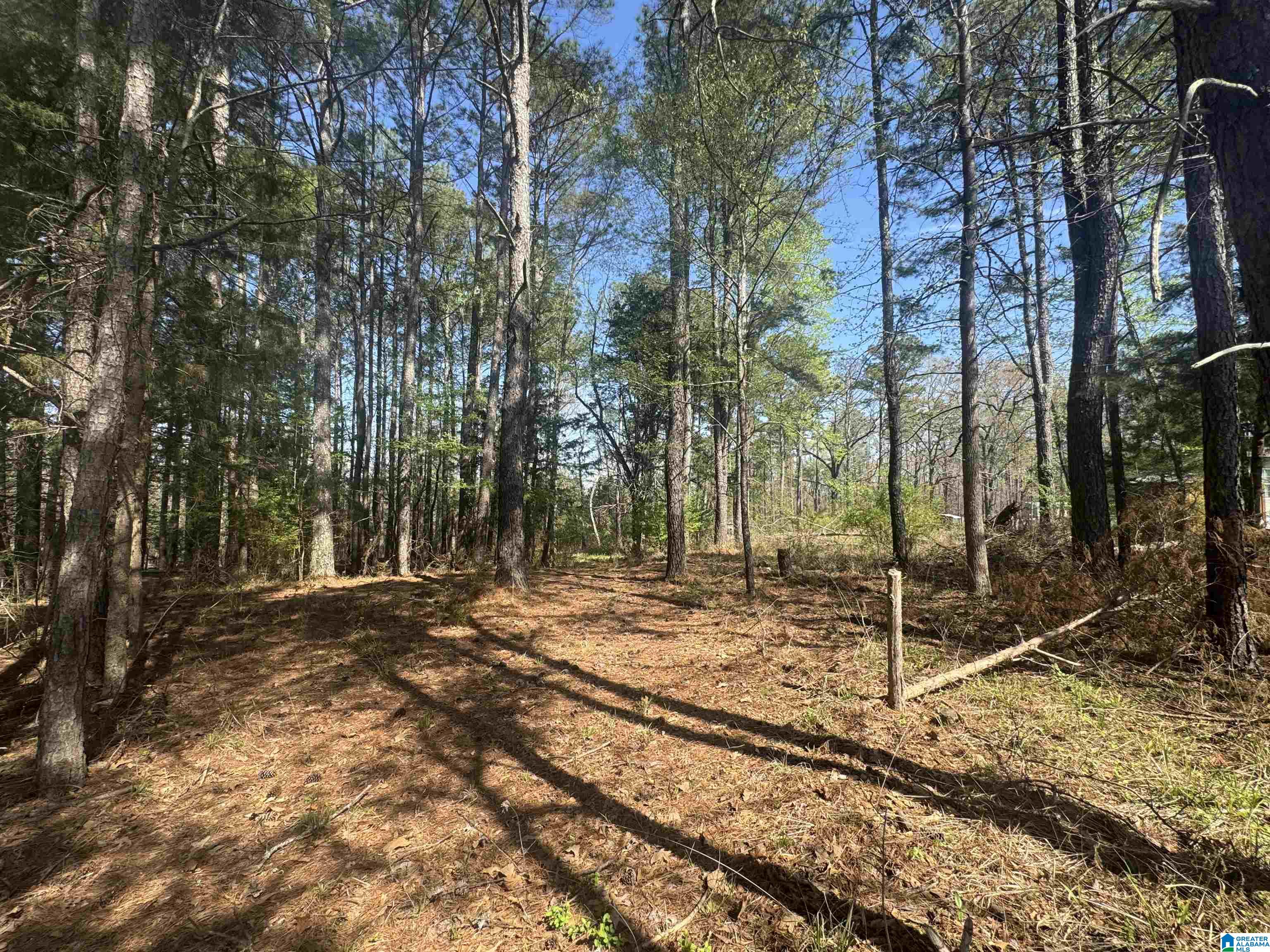 1265 TIM KING ROAD 0