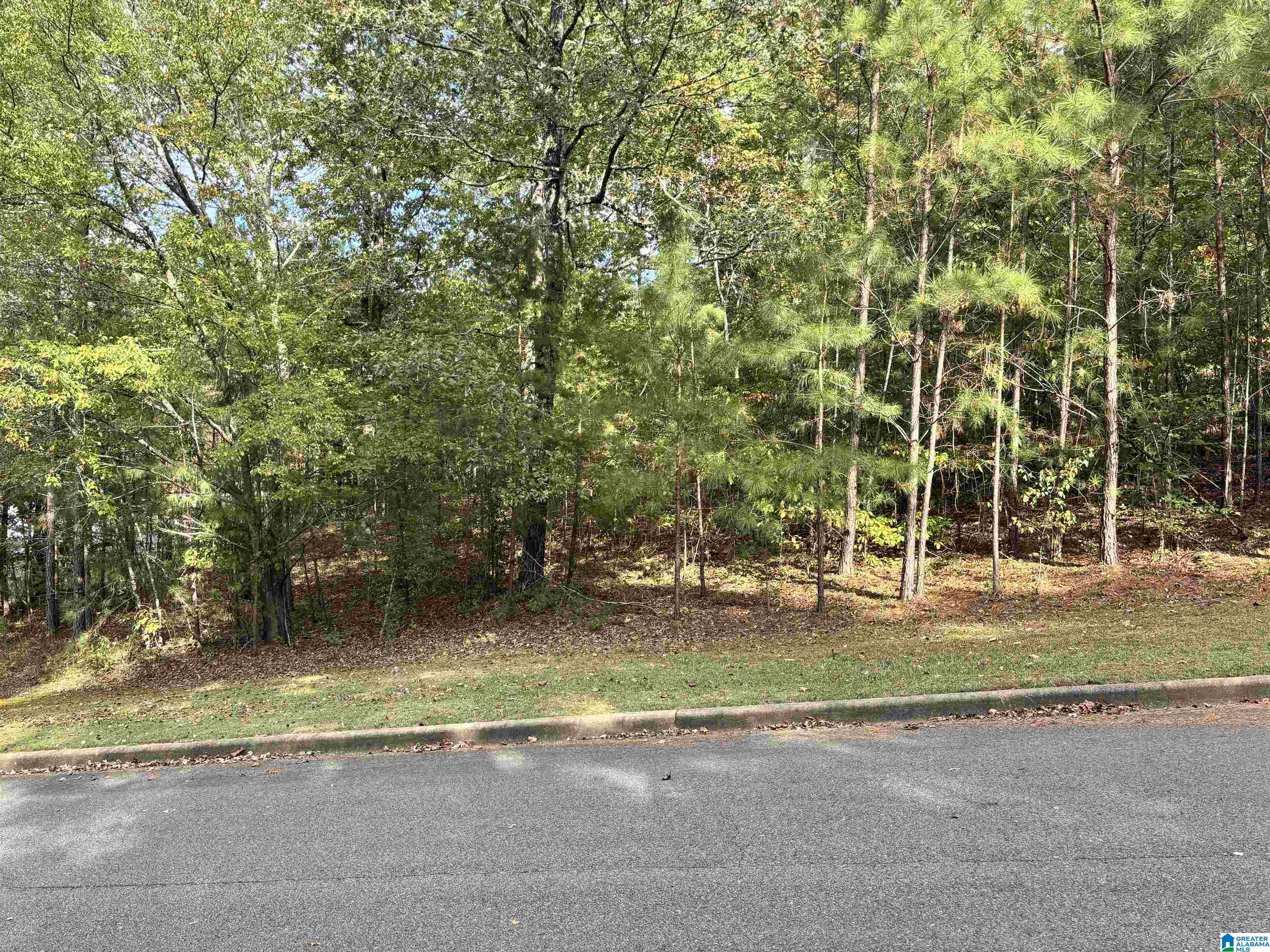 Photo 1 of 3 — Lot 9 WHITE OAK CIRCLE 9, DORA, AL 35062