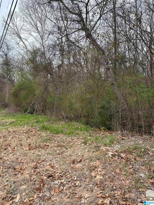 1460 MILES ST # 000, DOLOMITE, AL 35061 - Image 429f9775eee4e526f6b4def52f627f74/369656458